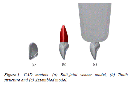 biomedical-research-veneer