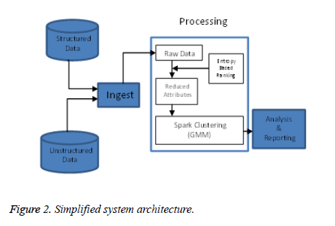 biomedres--Simplified-system