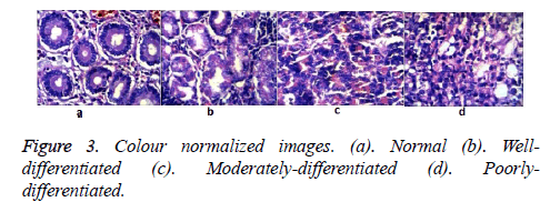 biomedres