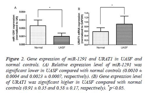 biomedres-Gene-expression