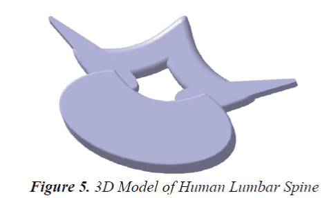 biomedres-3D-Human-Lumbar-Spine