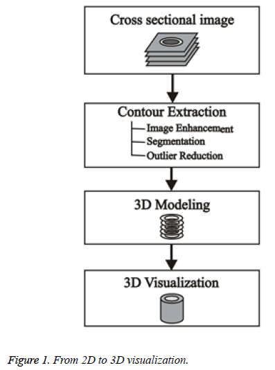 biomedres-3D-visualization