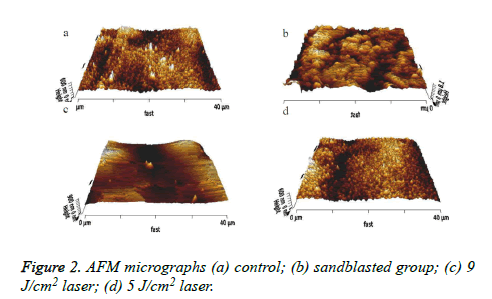 biomedres-AFM-micrographs