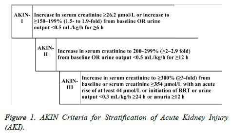 biomedres-AKIN-Criteria