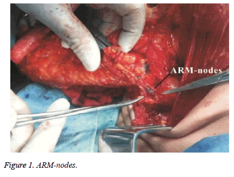 biomedres-ARM-nodes