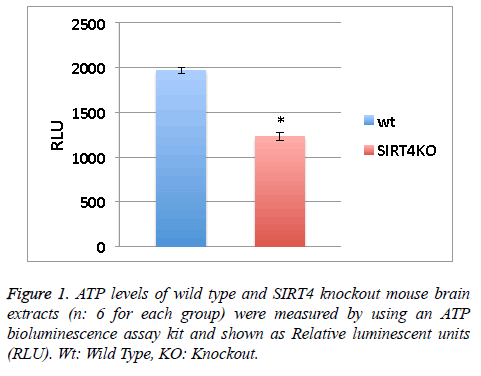 biomedres-ATP-levels