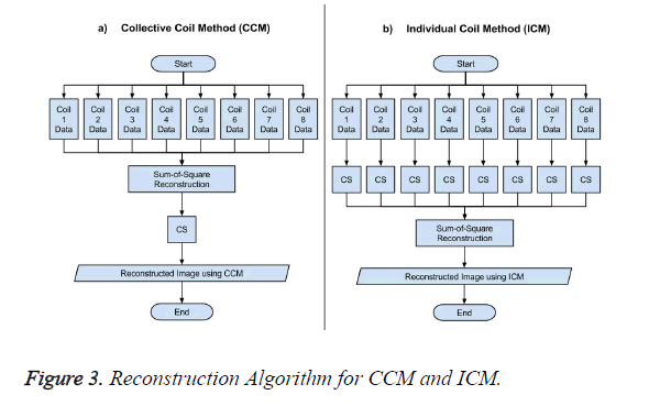 biomedres-Algorithm-CCM-ICM