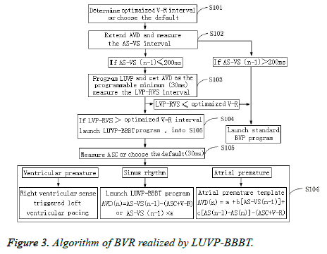 biomedres-Algorithm-LUVP-BBBT