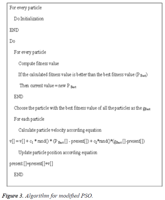 biomedres-Algorithm-modified-PSO