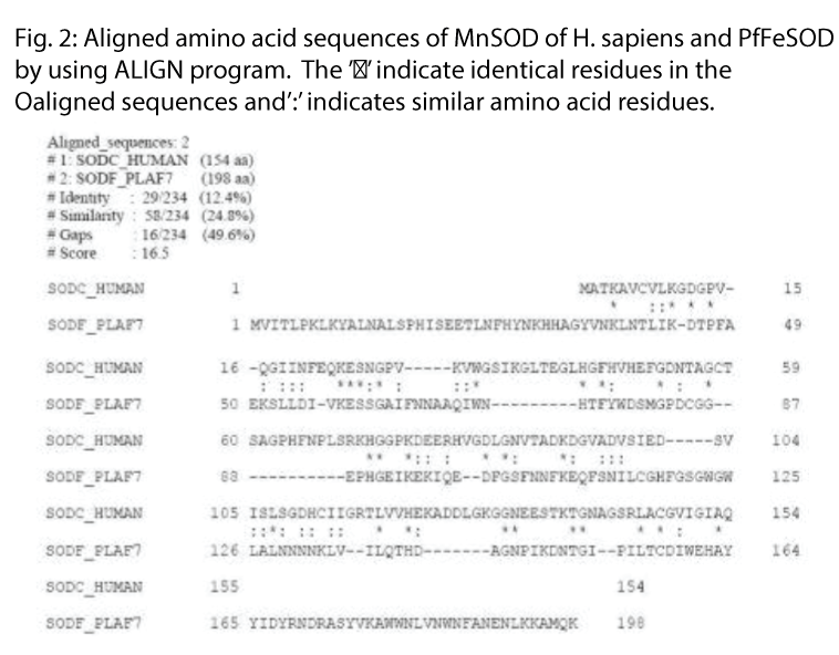 biomedres-Aligned-amino-acid-identical-residues