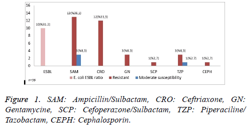 biomedres-Ampicillin-Sulbactam