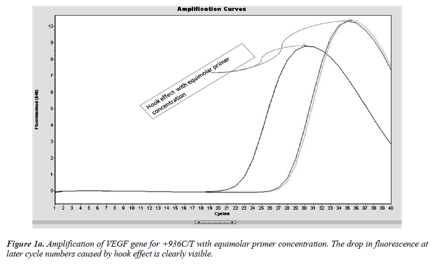 biomedres-Amplification-VEGF