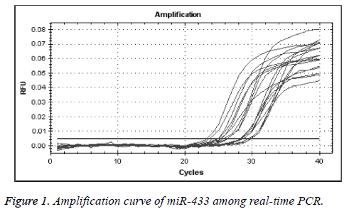 biomedres-Amplification-curve