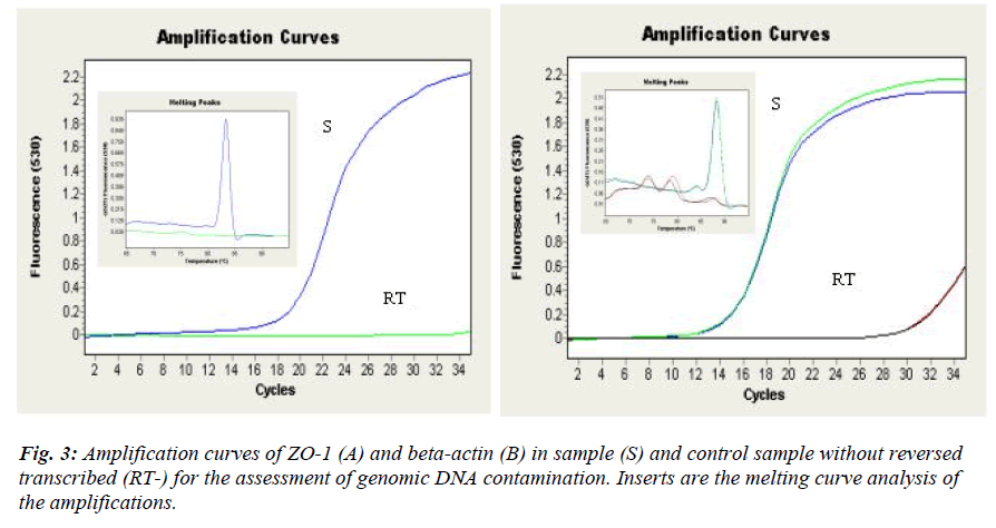 biomedres-Amplification-curves-ZO