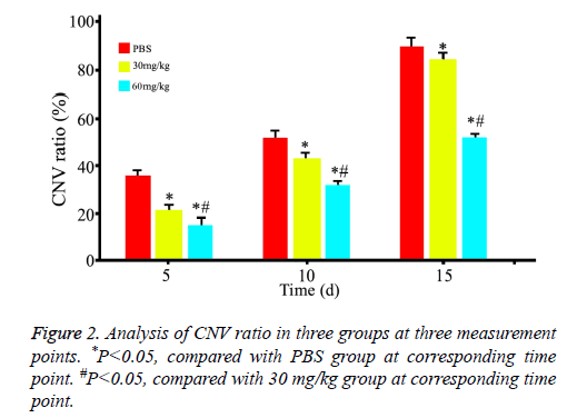 biomedres-Analysis-CNV