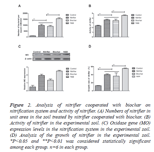 biomedres-Analysis-nitrifier