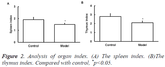 biomedres-Analysis-organ-index