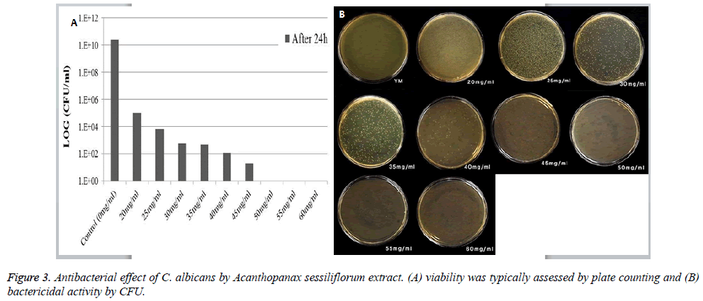 biomedres-Antibacterial-effect