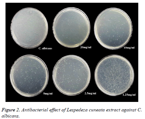 biomedres-Antibacterial-effect