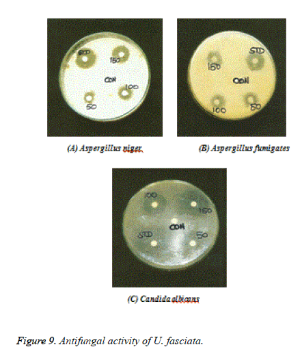 biomedres-Antifungal