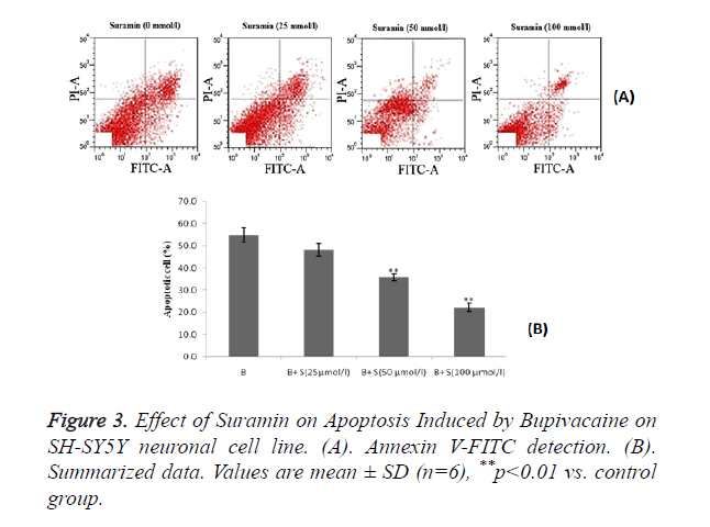 biomedres-Apoptosis-Induced