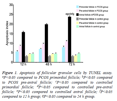 biomedres-Apoptosis-follicular