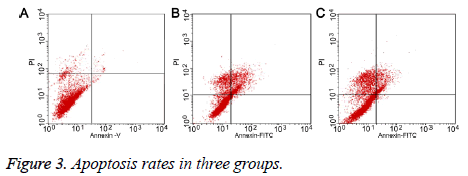 biomedres-Apoptosis-rates