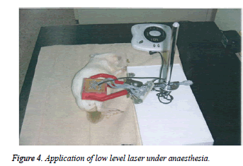 biomedres-Application-level-laser