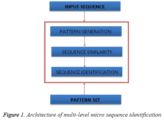 biomedres-Architecture-multi-level-micro-sequence