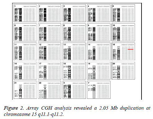 biomedres-Array-CGH