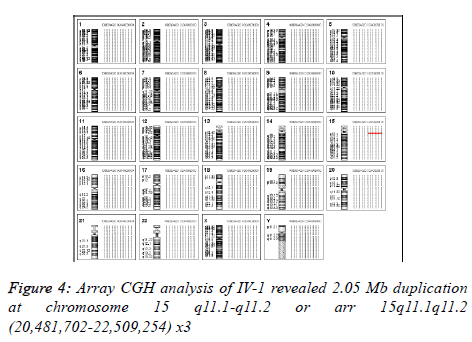 biomedres-Array-CGH-analysis