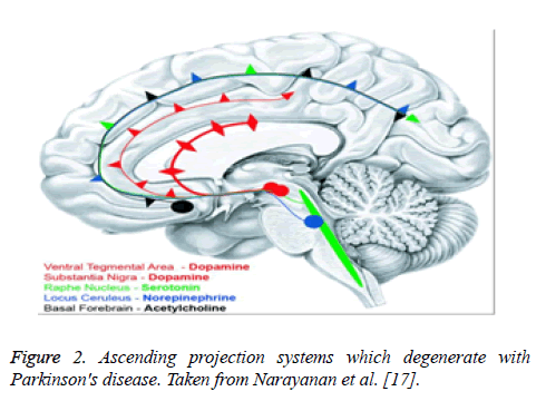 biomedres-Ascending-projection