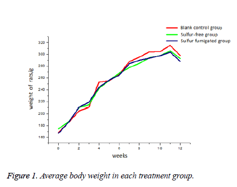 biomedres-Average-body