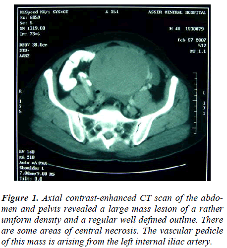 biomedres-Axial-contrast-enhanced-CT
