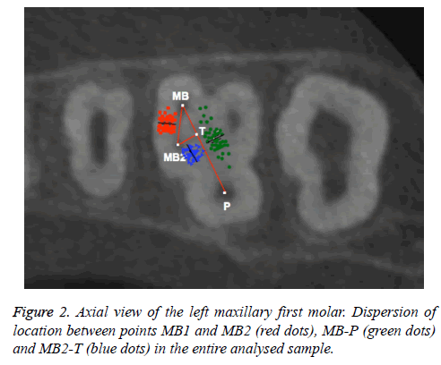 biomedres-Axial-view