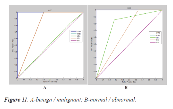 biomedres-B-normal-abnormal