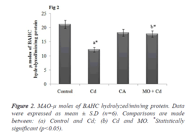 biomedres-BAHC-hydrolyzed