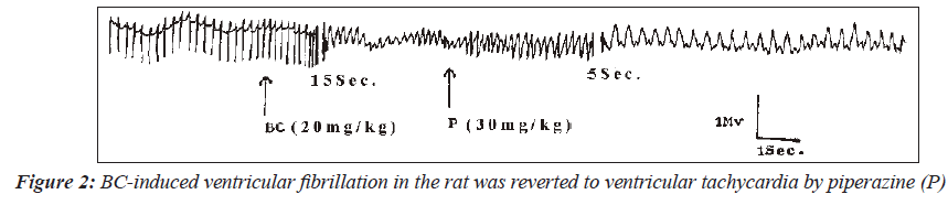 biomedres-BC-induced-ventricular-fibrillation