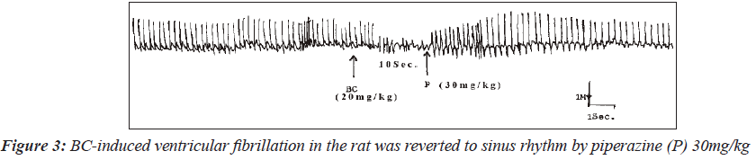 biomedres-BC-induced-ventricular-fibrillation