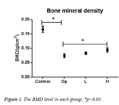 biomedres-BMD-level