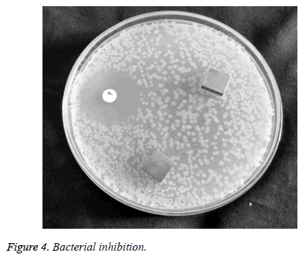 biomedres-Bacterial-adhesion