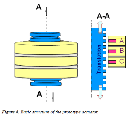 biomedres-Basic-structure