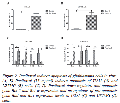 biomedres-Bax-expression