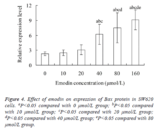 biomedres-Bax-protein