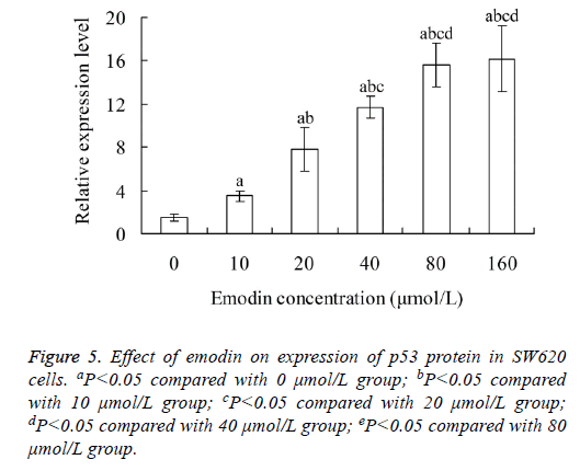 biomedres-Bax-protein