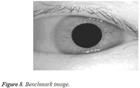 biomedres-Benchmark-image