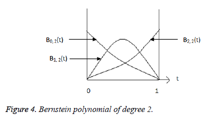 biomedres-Bernstein-polynomial