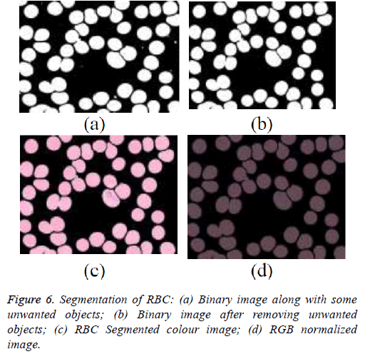 biomedres-Binary-image