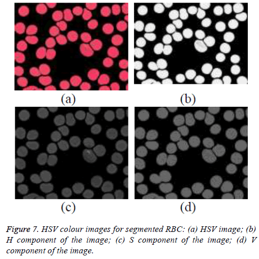 biomedres-Binary-image