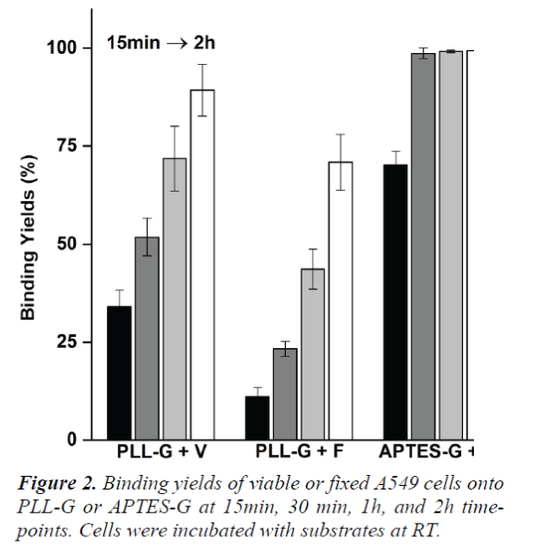 biomedres-Binding-yields-viable-fixed